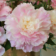 (LD) 'President Wilson'